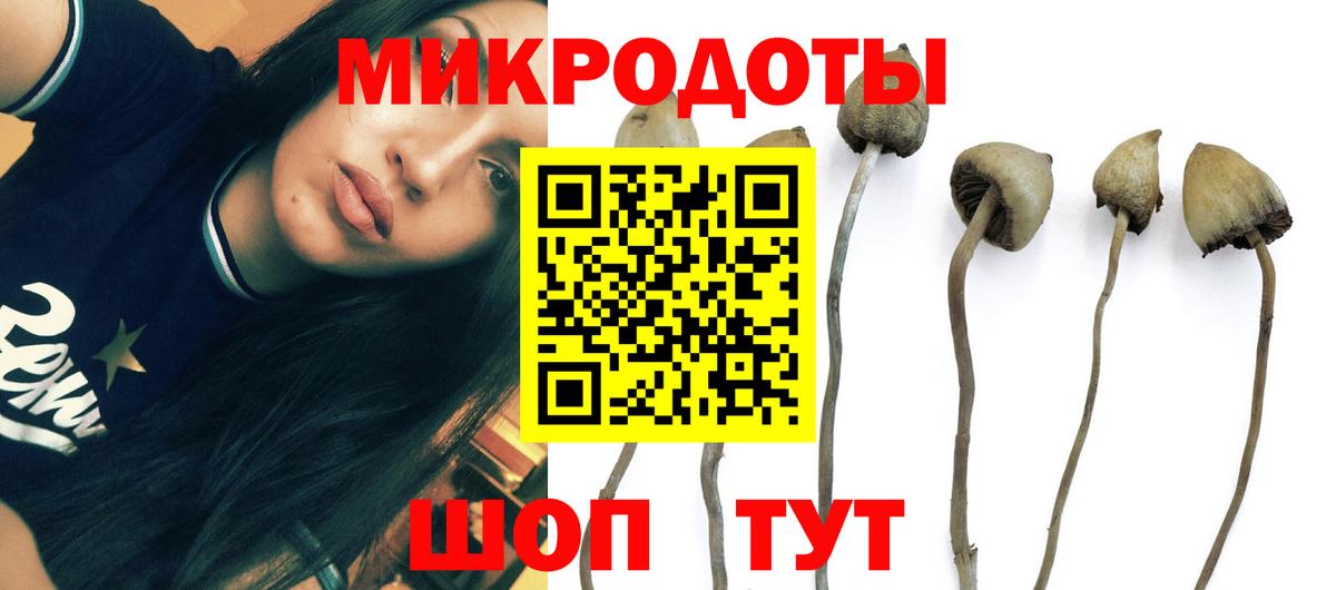 Галлюциногенные грибы Cubensis  Вход с VPN  цены   Псилоцибиновые грибы ЛСД  Тулун 